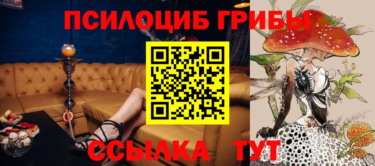 Псилоцибиновые грибы Psilocybine cubensis  Вход с VPN  Галлюциногенные грибы MAGIC MUSHROOMS  Карасук 