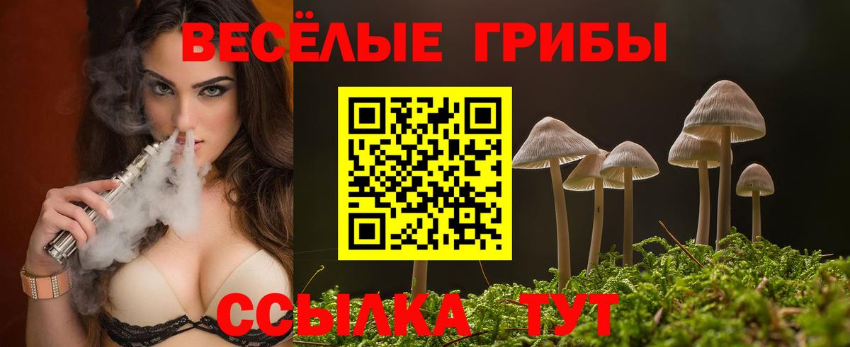 Псилоцибиновые грибы Cubensis Карасук